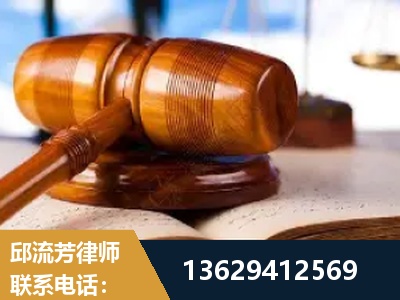 罗定-刑事案件