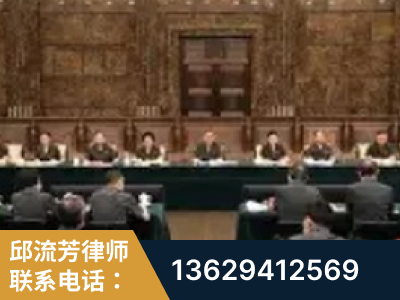 罗定-疑难刑事案件处理