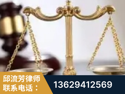 罗定-委托诉讼代理人出庭